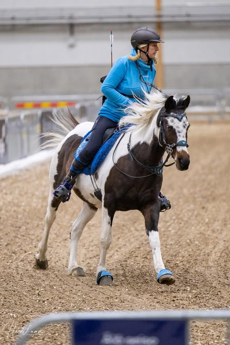 Annina Huovinen, hallituksen jäsen